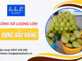 Bật mí điểm gia công giỏ đựng sầu riêng số lượng lớn tại Sài Gòn