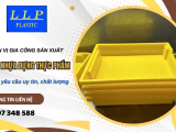 Đơn vị gia công sản xuất khay nhựa đựng thực phẩm theo yêu cầu uy tín, chất lượng