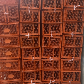 Rổ Đựng Sầu Riêng 