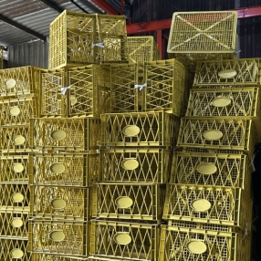 Sản Xuất, Cung Cấp Rổ Đựng Sầu Riêng Số Lượng Lớn 